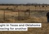 A farmer near Quemado, Texas, prepares to take hay to cattle amid the drought in June 2022. Brandon Bell/Getty Images